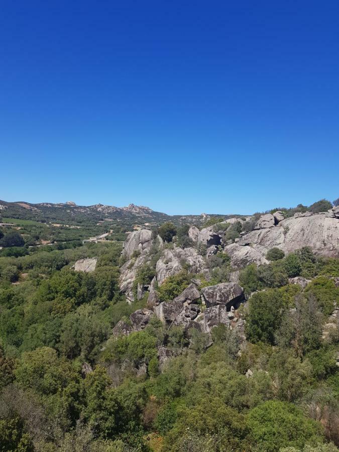 Appartamento Monte Mare アルツァケーナ エクステリア 写真